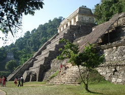 Mayan Ruin in Palenque, Chiapas. Picture taken by the author in 2012.